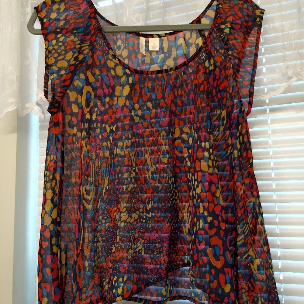 Red Camel Sheer Multi Colored Top